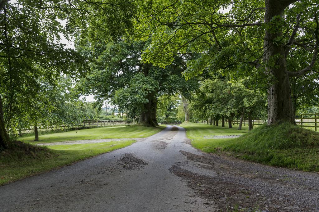 College Hill House Bed & Breakfast Slane Eksteriør bilde